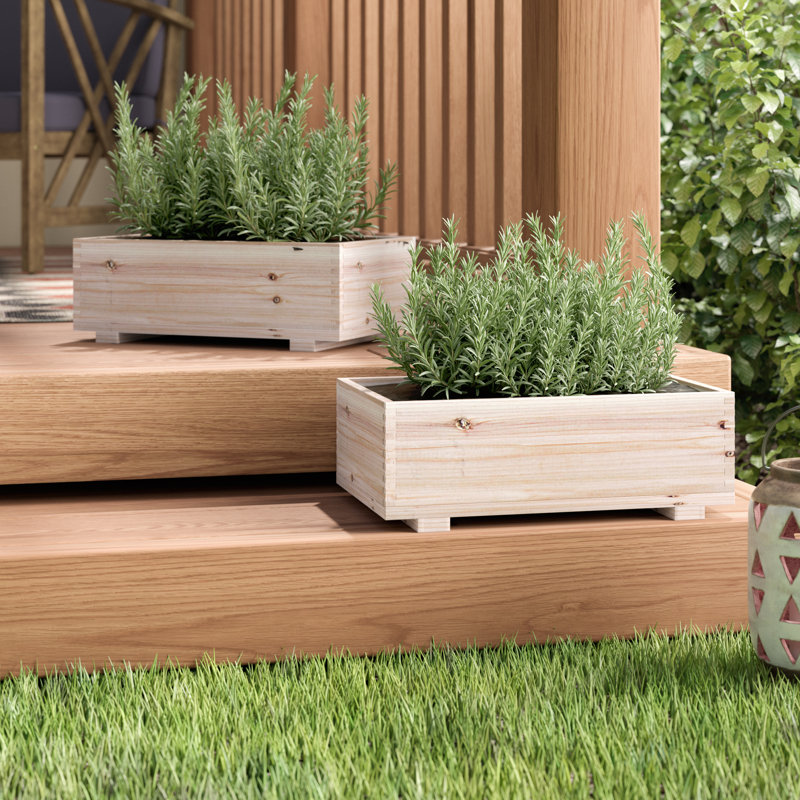 Natural Cedar Rectangular Dual-Purpose Planter and Storage Box Set