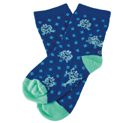 Passover Socks