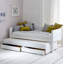 Booth Solid Wood Daybed with Trundle