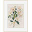 Soft Blush Dog Rose 1 Print-848791468