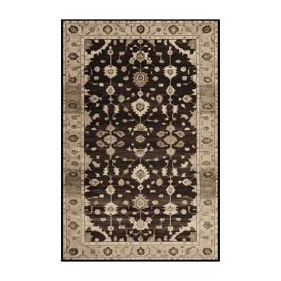 Machine Washable Overdyed Brown Area Rug