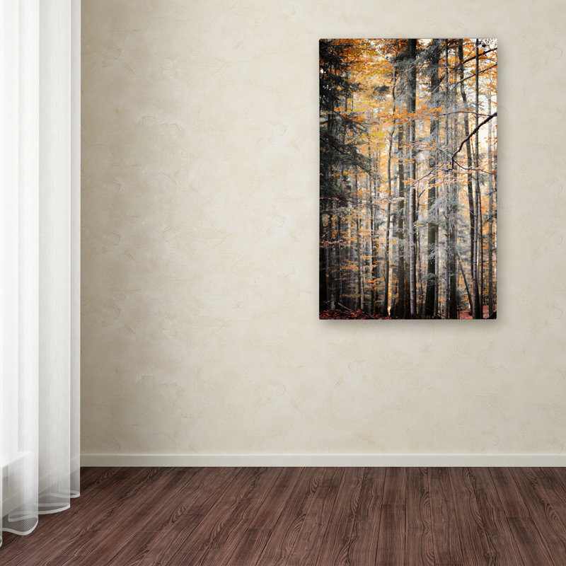 « tons », reproduction de photo sur toile tendue Halke, H 24 po x l 16 po x P 2 po