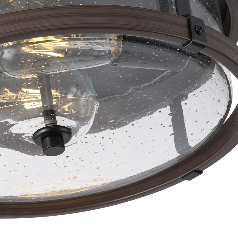 2-Lamp black dimmable glass iron Ceiling light