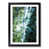 Black Framed