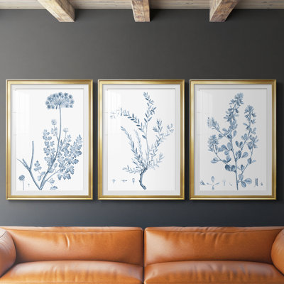 Antique Botanical in Blue V - reproduction encadrée sur mesure de qualité supérieure - 3 pièces