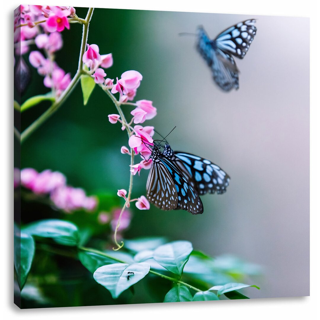 Leinwandbild Schöne Schmetterlinge auf rosa Blumen