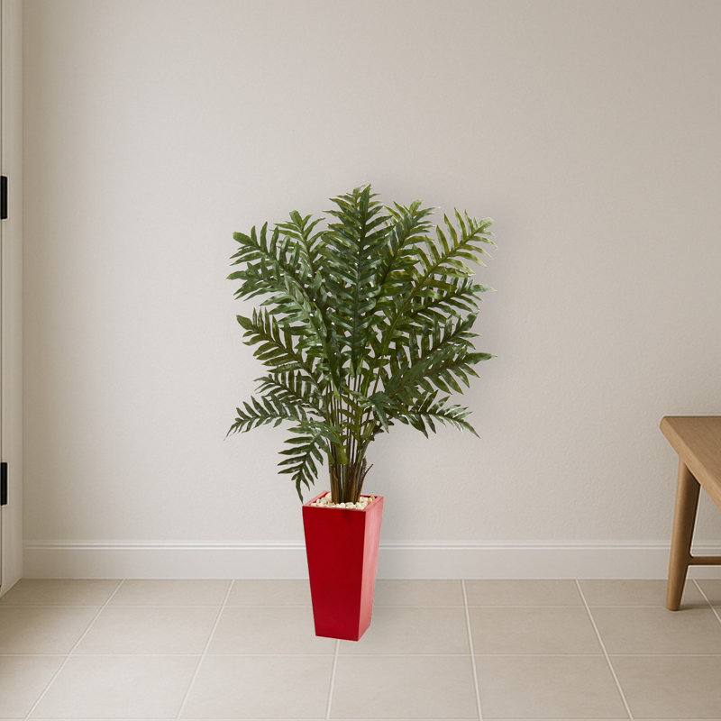 Evergreen Plant in Red Planter