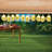 Padraig Outdoor 10 - Bulb 10'' Battery Powered LED String Light