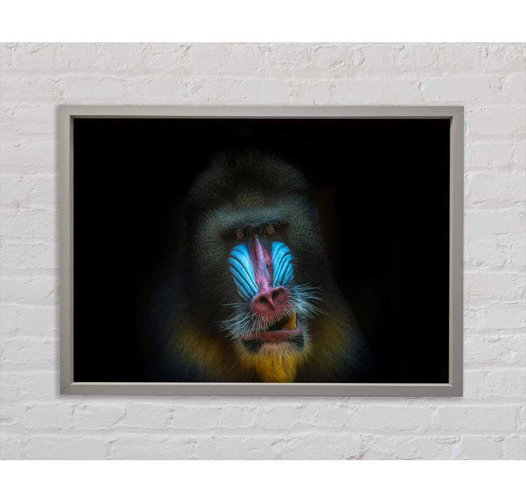 Mandrill Anger - Drucken