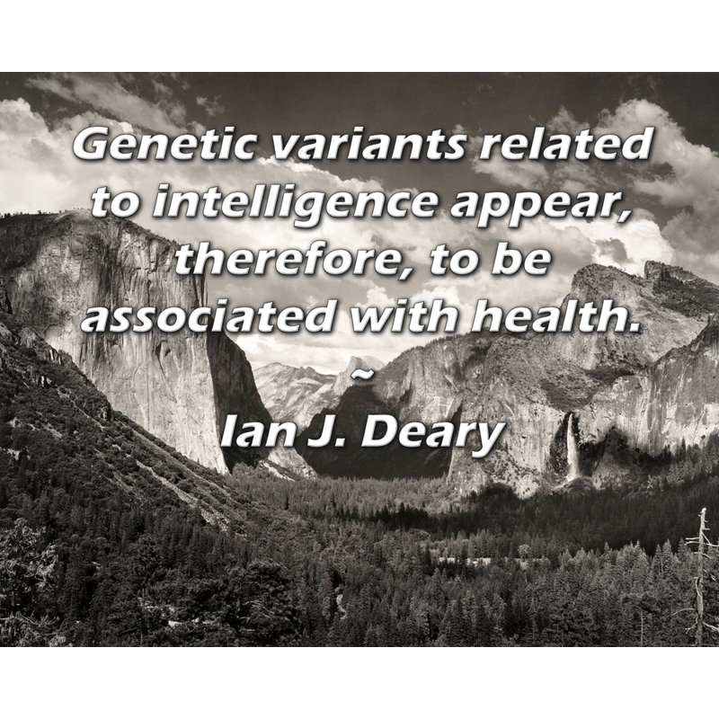 ArtsyQuotes Gallery Wrapped Canvas By Ian J. Deary: "Genetic variants related to intelligence appear, therefore, to be associated with health."