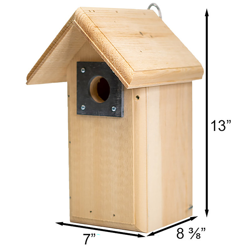 Cabane à oiseaux Shamika