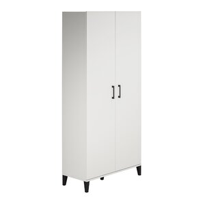 https://assets.wfcdn.com/im/40818292/resize-h300-w300%5Ecompr-r85/1981/198178940/Amaylee+Single+Storage+Cabinet+%28+76.65%27%27+H+x+35.67%27%27+W+x+15.39%27%27+D%29.jpg