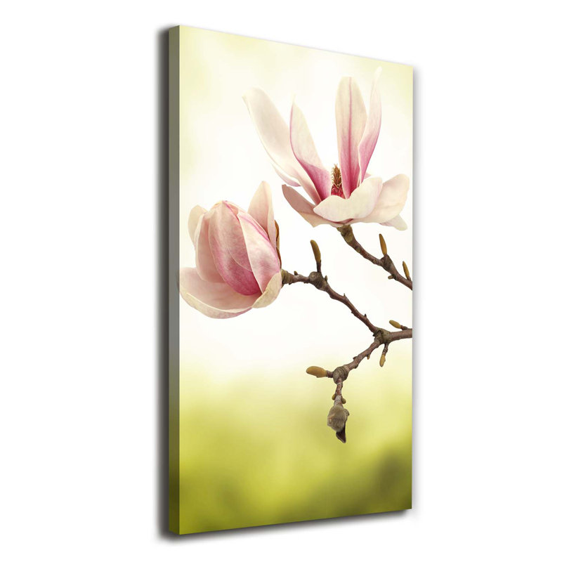 Magnolia Flowers - Wrapped Canvas Print