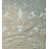 Celadon
