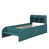 Dark Green is out of stock selected