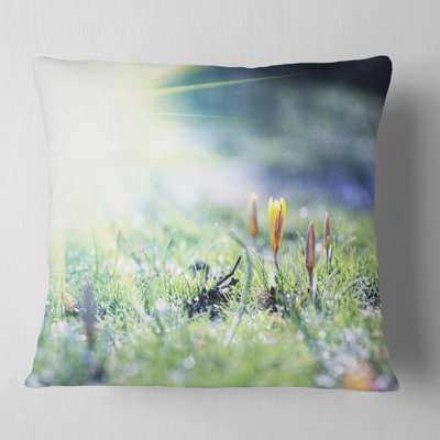 Throw Pillow