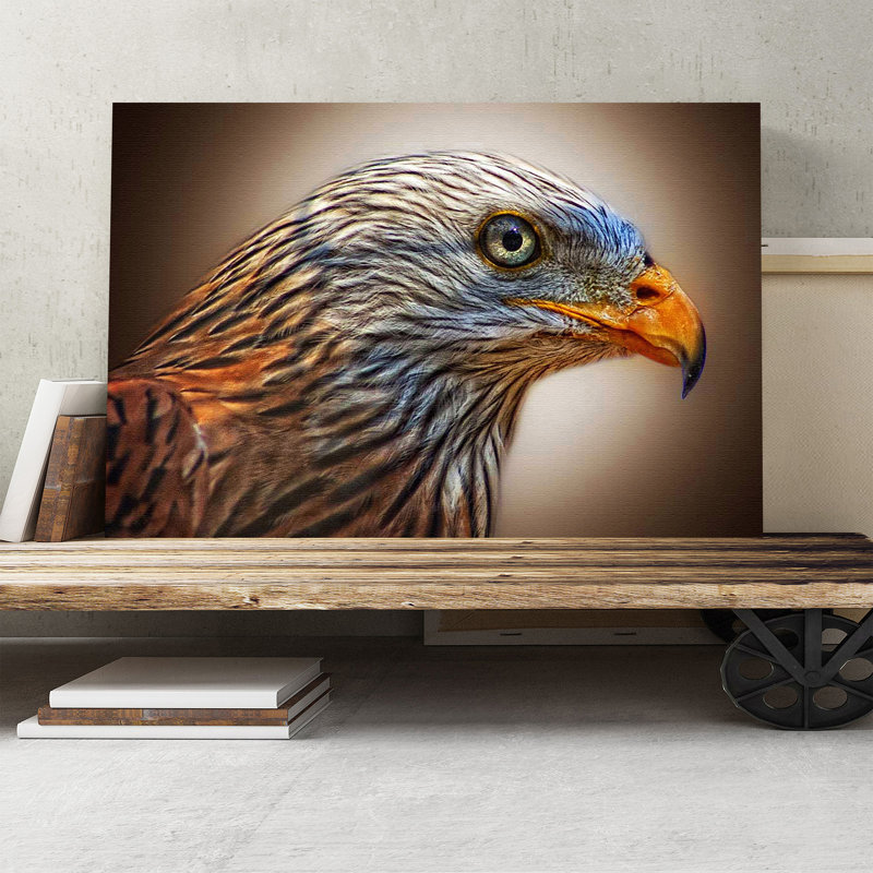 Red Kite Bird Photographic - Wrapped Canvas, 50cm H x 76cm W