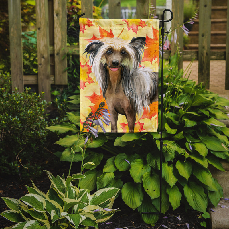 Automne 2 côtés en polyester 15 x 11 po drapeau de jardin, Chien chinois à crête brun