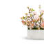 Caroma Blush Mixed Florals