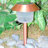 Vanesa Copper Low Voltage Integrated LED Metal Pathway Light Pack