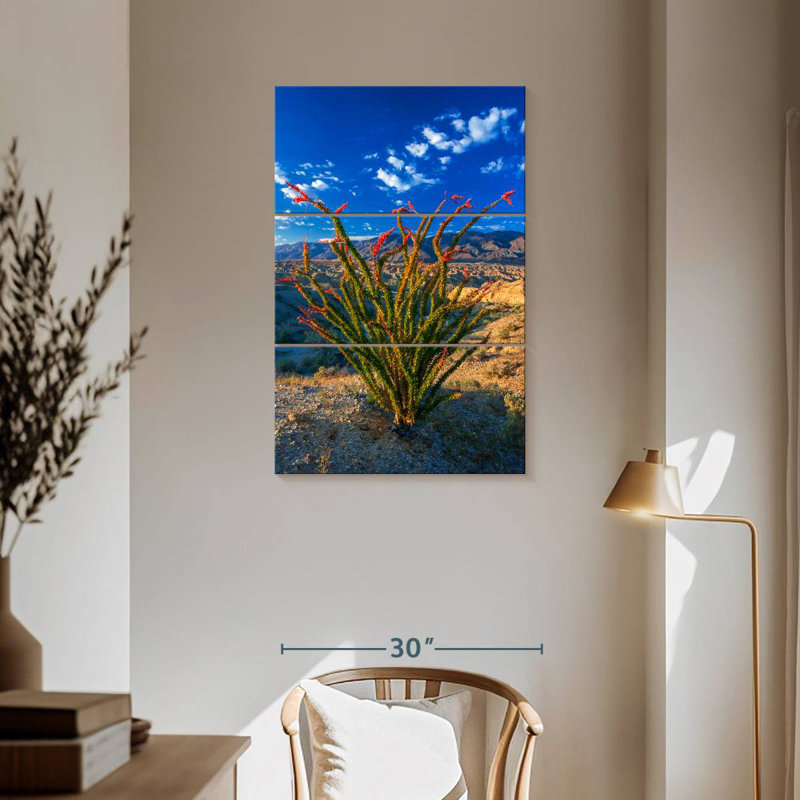 Aaric Ocotillo à Anza Borrego, H 57 po x l 36 po