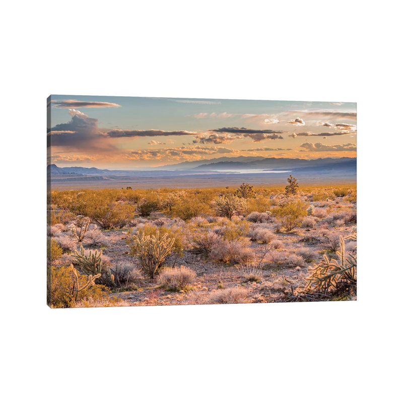 Desert, Lake Mead, Gold Butte National Monument, Nevada by Jeff Foott - Wrapped Canvas Print, 152.5 cm H x 101.5 cm W