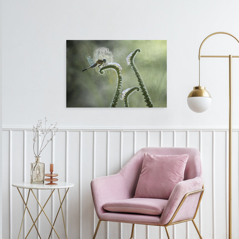 Dragonfly On Gentle Curve Delicate Peaceful Serene Dragonfly Nature Plant Wall Art Print 1 Piece Wrapped Canvas Wall Art