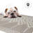 Outdoor Rug Plastic Straw Rug Waterproof Patio Lakeeya Beige