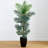 Paradise Palm Artificial Tree in Square Planter