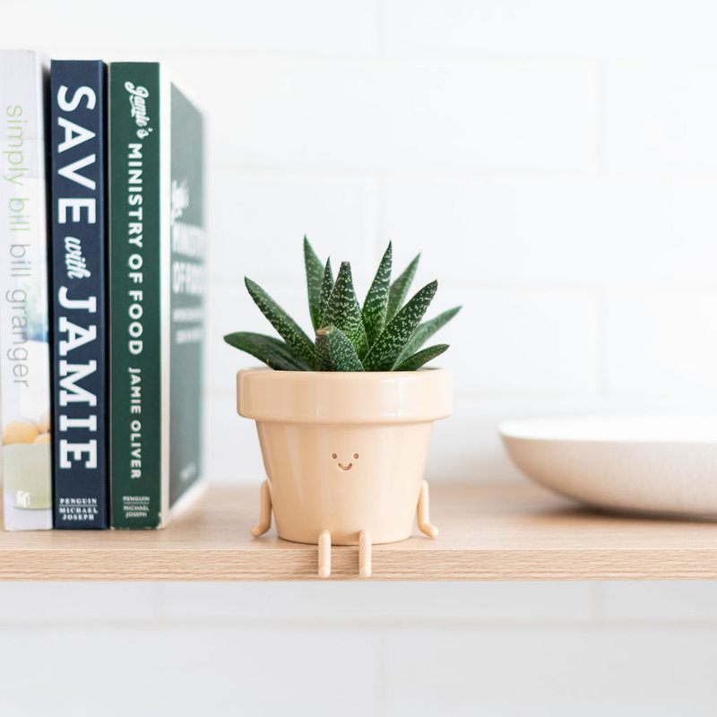 Cute Pots Pot Planter