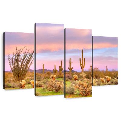 Désert de Sonora au coucher du soleil