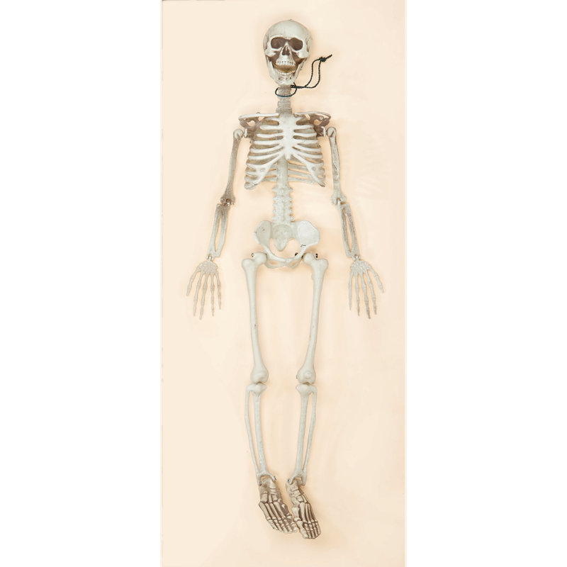 Halloween Figurines & Collectibles