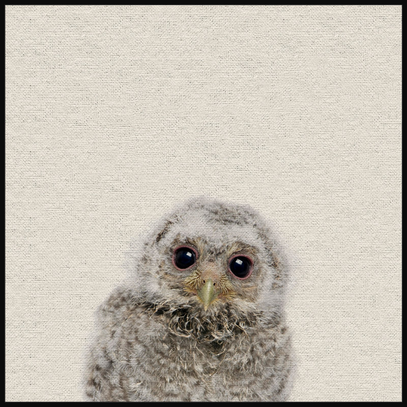 Peekaboo II - Drawing on Canvas, 30cm H x 30cm W x 4cm D