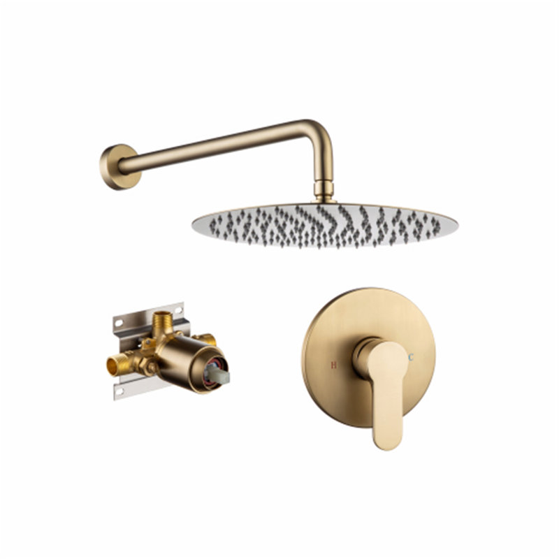 Robinet de douche seulement, Chrome