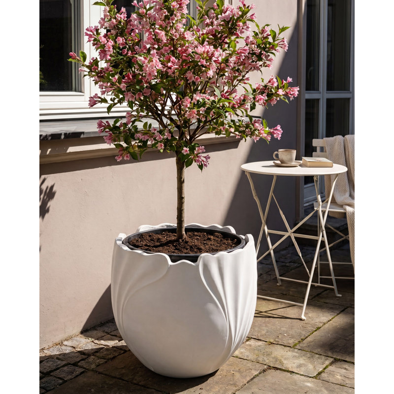 Pot Planter, 43cm H x 44cm W x 44cm D, White