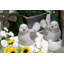 Ensemble de 2 figurines Dougherty