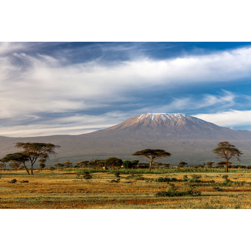 Kilimandjaro avec des arbres d'acacia par 1001Slide, H 8 po x l 12 po