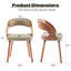 Upholstered Dining Chair With Wooden Frame-439279404-468840567