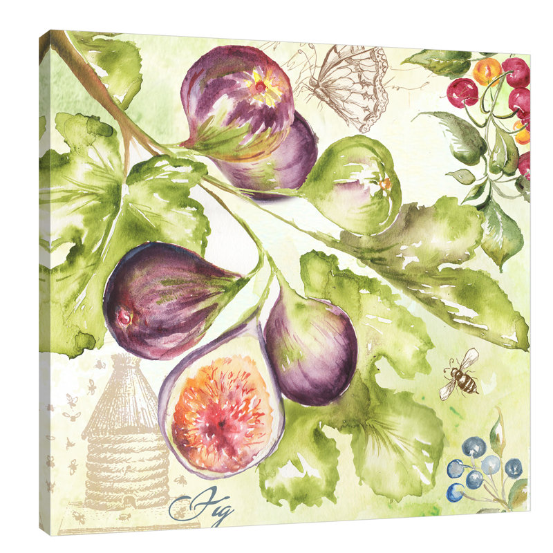 « aquarelle fig » par tre sorelle studios, peinture de printg sur toile tendue, H 12 po x l 12 po x P 1,5 po