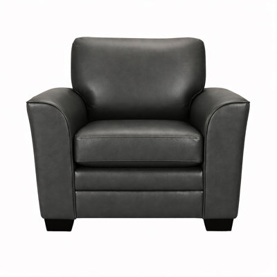 Ensemble de canapé et de chaise en cuir Nadin de qualité supérieure avec coussins de dossier moelleux de couleur grise