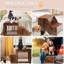 Lit superposé à plusieurs niveaux pour chiens et chats avec marche amovible, siège de fenêtre avec coussin et coussin à gratter pour chat, pour l'intérieur