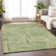 Colier Area Rug