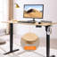 Bureau électrique électrique, 24 po x 48 po, couleur ambre et graphite, surface monobloc de 1 po d'épaisseur, espace de travail ergonomique, bureau à faible bruit, hauteur réglable, assemblage facile