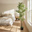 Grand ficus artificiel avec pot en plastique