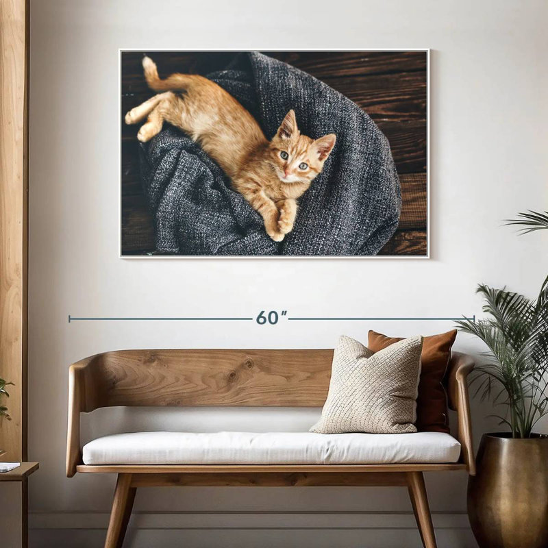 Chat au repos, 46 po x 31 po, Cadre flottant blanc