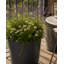 Ashley Round Egg Planter, Concrete Effect, Indoor and Outdoor Round Plant Pot with Drainage Hole-599791369-599791373