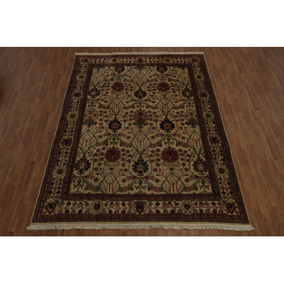 Luxurious Area Rug Agra Oriental 9x12
