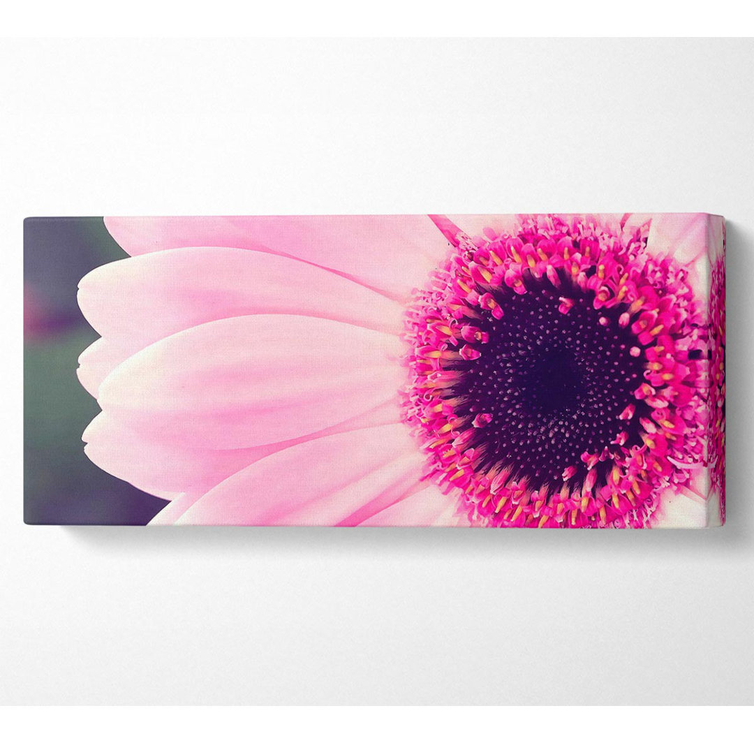 Rosa Gerbera Gänseblümchen Zentrum - Kunstdrucke auf Segeltuch