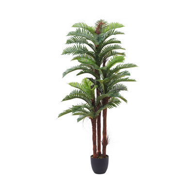 200cm Faux Fern Tree in Freestanding