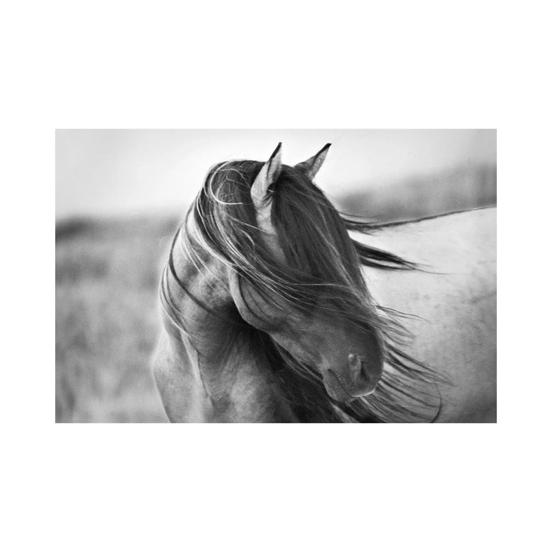 Tony Stromberg - Wrapped Canvas Print, 20.32 cm H x 30.48 cm W, Wrapped Canvas